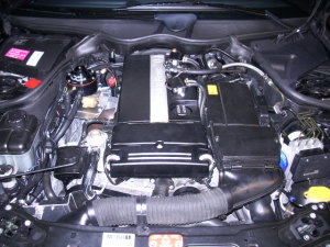 Autogas